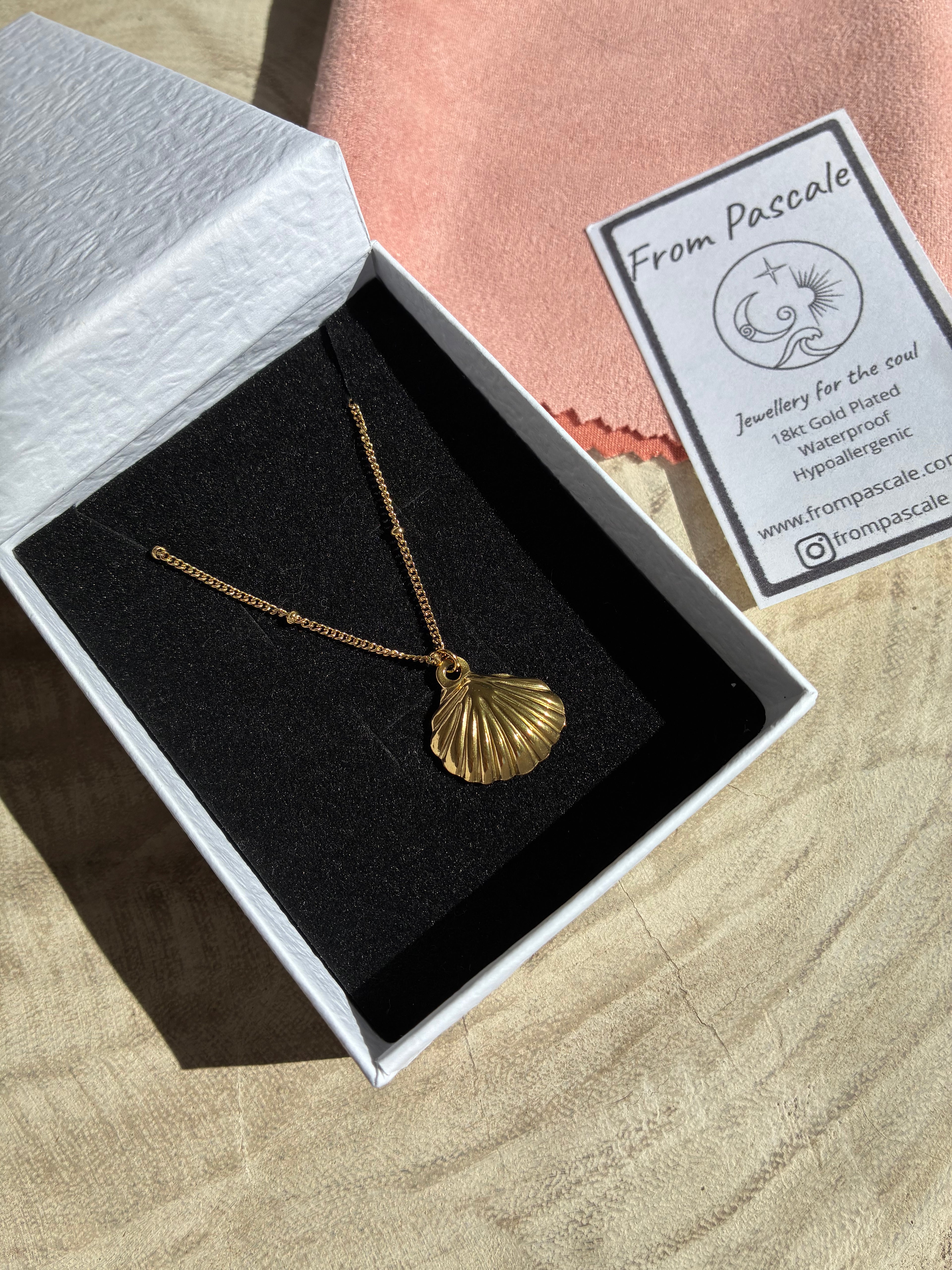Aphrodite Seashell