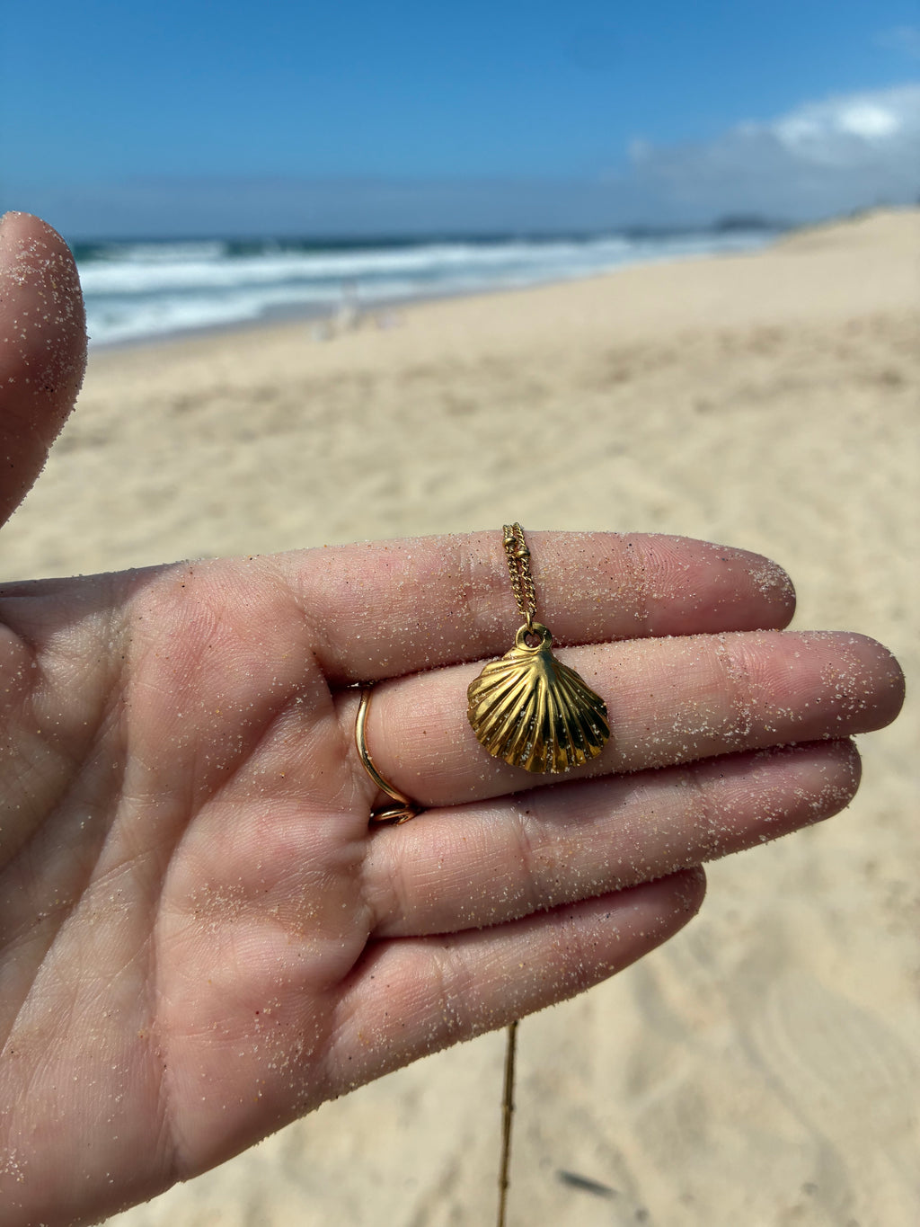 Aphrodite Seashell
